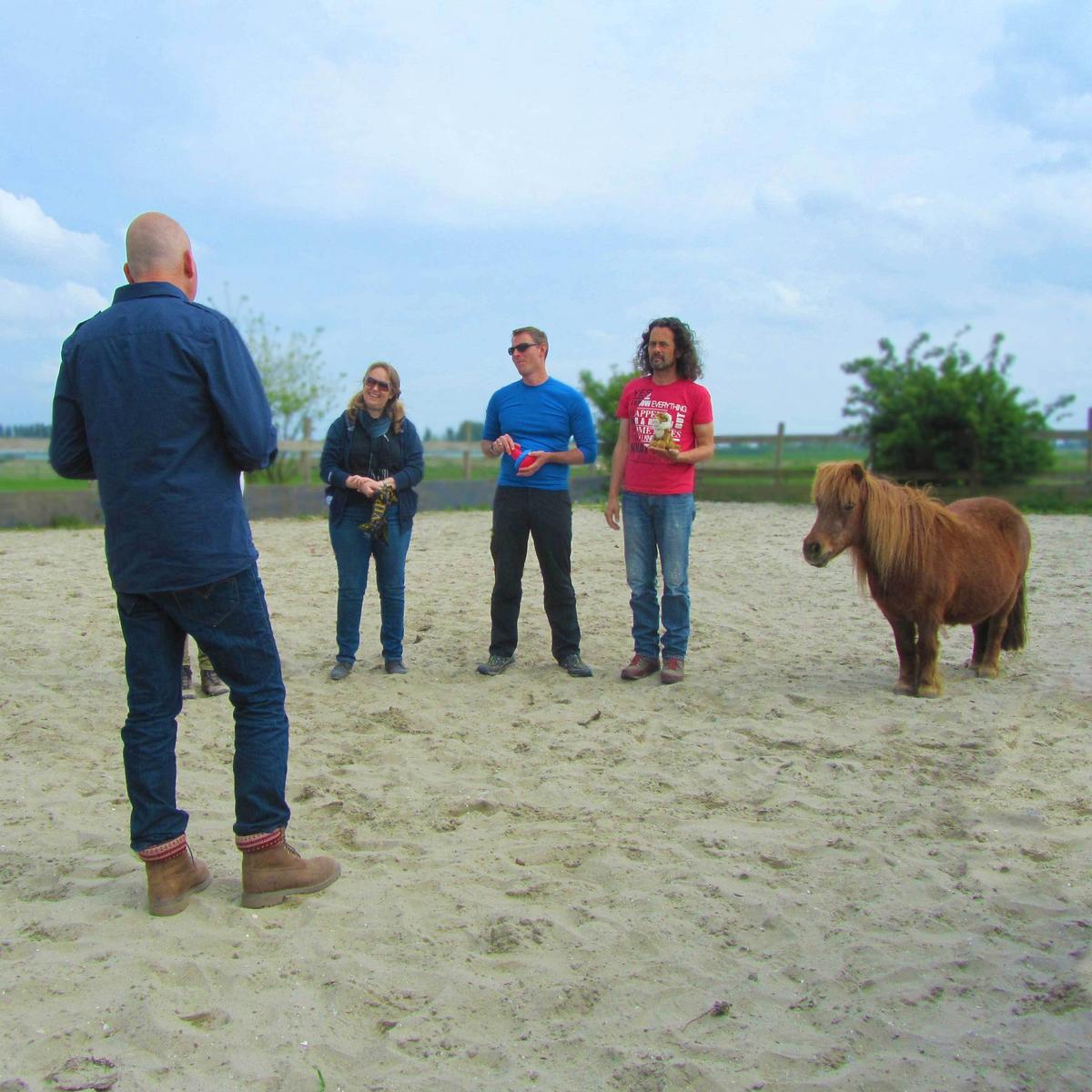 Equine assisted Teamcoaching