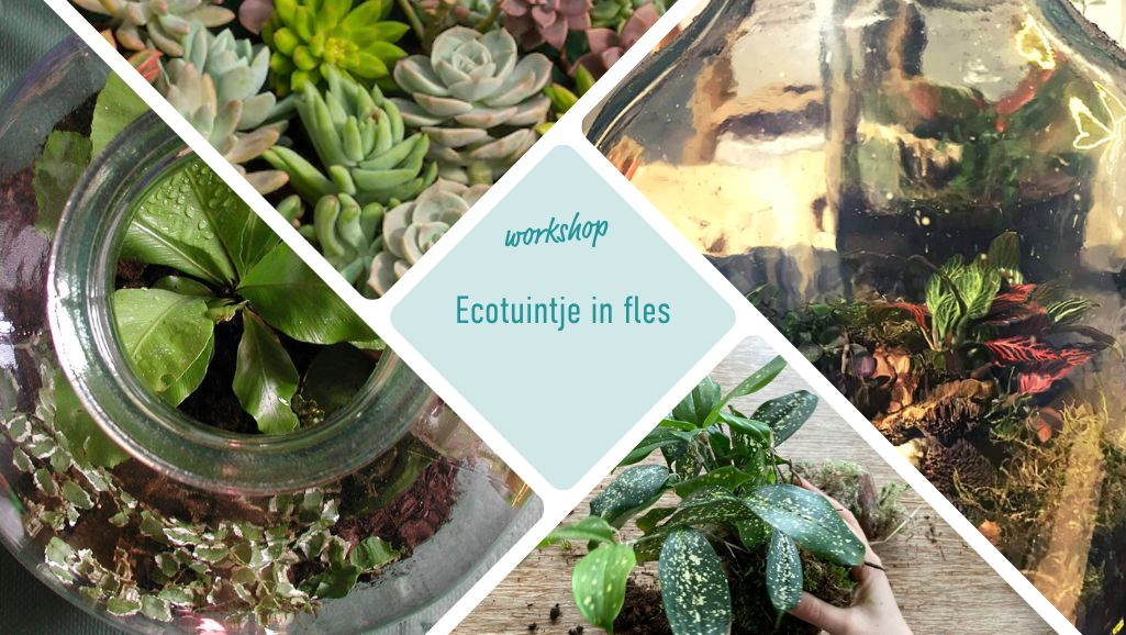Ecotuintje in fles / 26 maart / 19:30 / Groningen