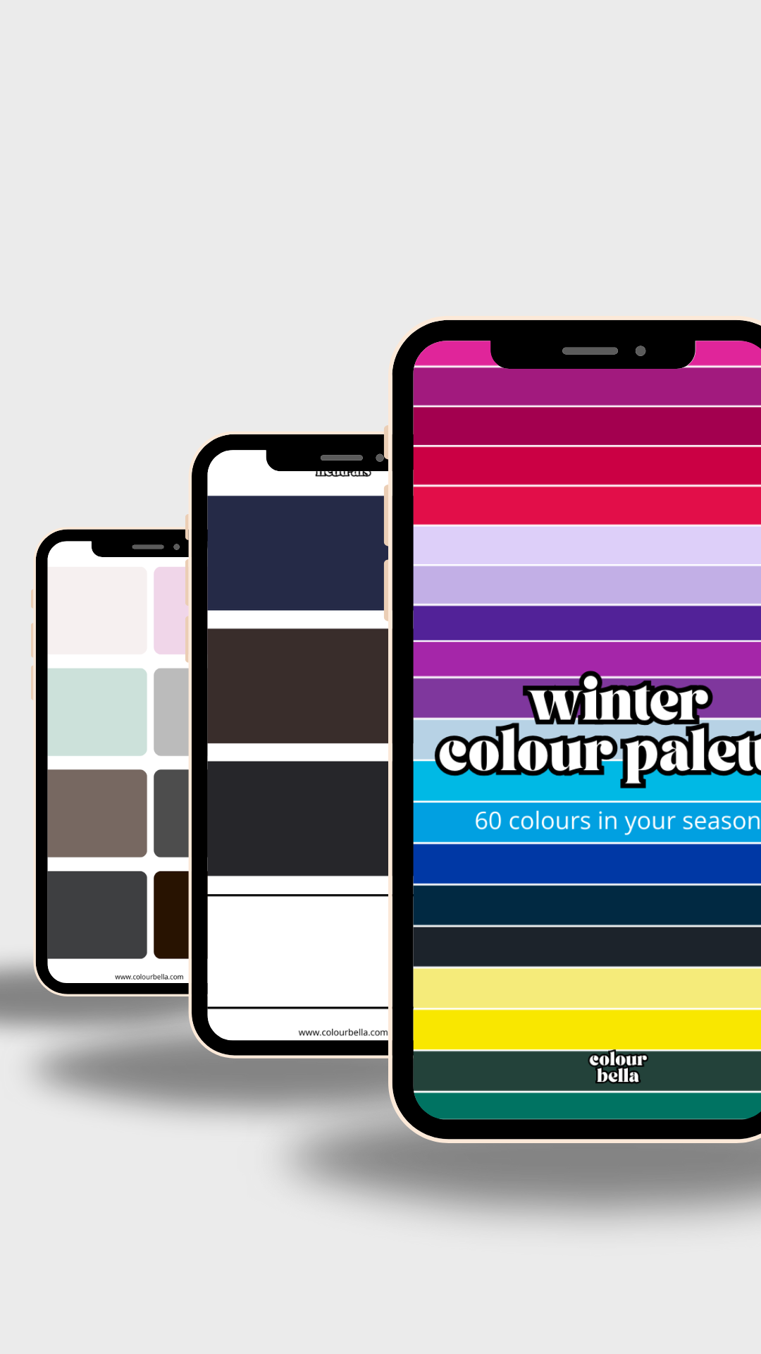 Winter - Digital Colour Swatch Palette