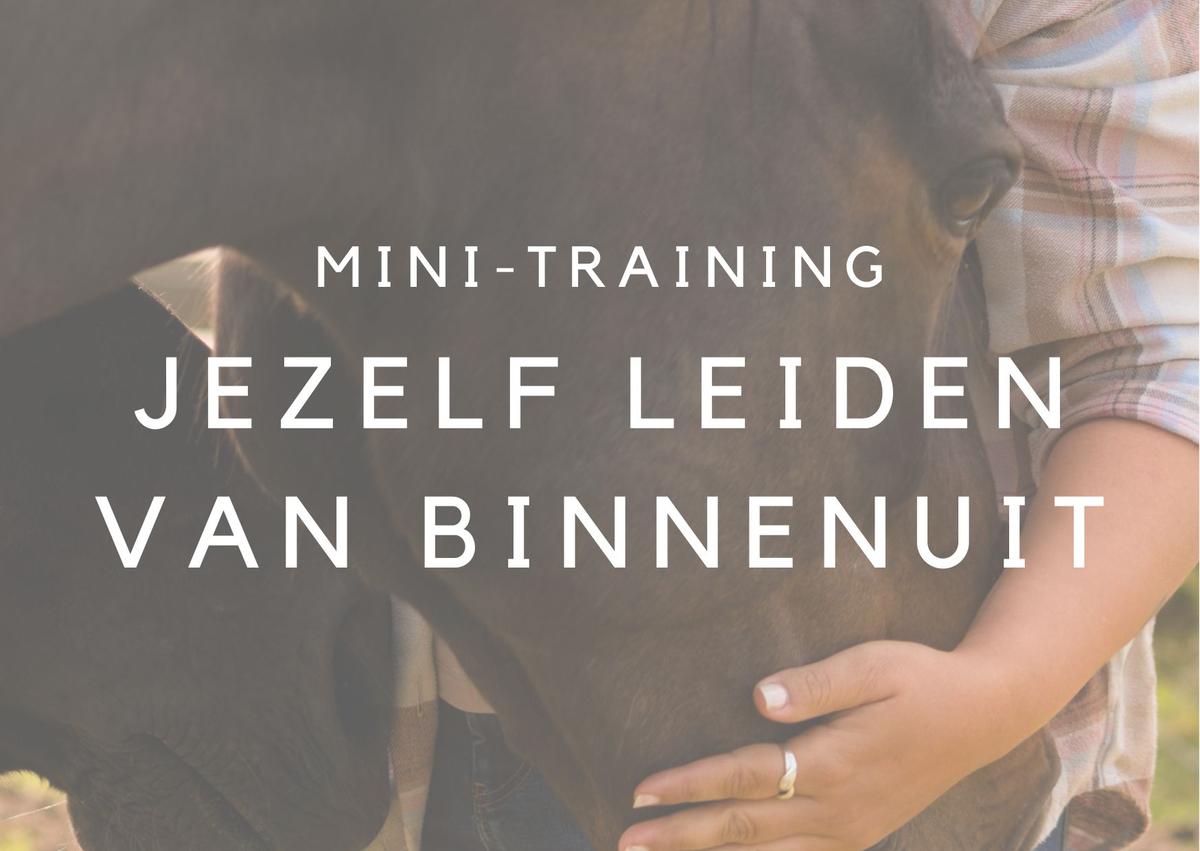 Mini-training Jezelf leiden van binnenuit